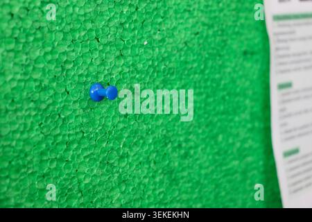 Blue Push Pins on Green Foam Board Background with Copy Space, Office Organization, Planning, Education and Reminder Concept Stock Photo