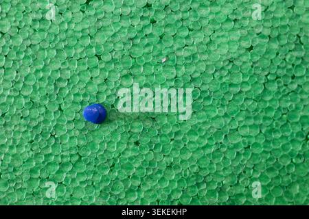 Blue Push Pins on Green Foam Board Background with Copy Space, Office Organization, Planning, Education and Reminder Concept Stock Photo