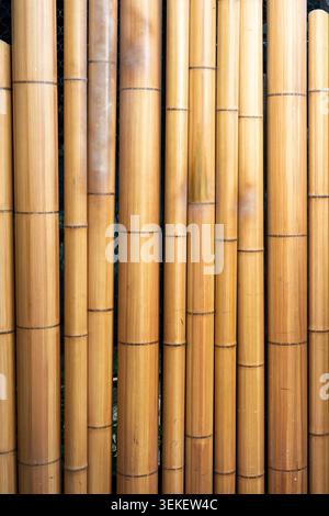 Close up view of vertical bamboo stalks fence Stock Photo