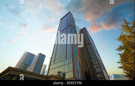 Tall glass buildings dominating an urban skyline with warm evening light Stock Photo