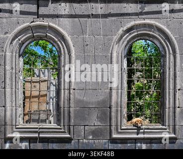 Two arched stone windows in old ruin wall. One window shows wooden shuttered door behind. Second window has cat resting on sill. Green leaves and sky Stock Photo