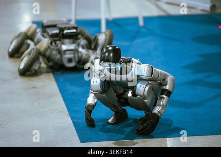 An Eagle Robots humanoid mechanical robot is shown in a crouching position next to a wheeled multi-terrain robotic platform during an automated techno Stock Photo