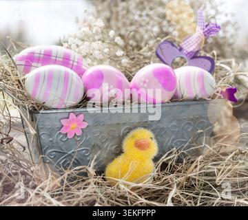 Easter decorations, pink Easter eggs in a flower box with Easterchick Stock Photo