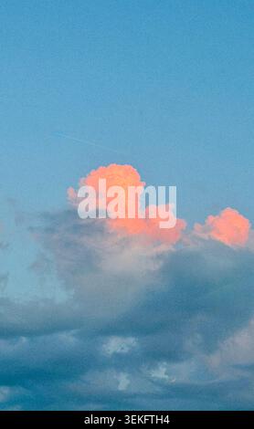 Soft pink and white cumulus clouds illuminated by sunset against a clear blue sky Stock Photo