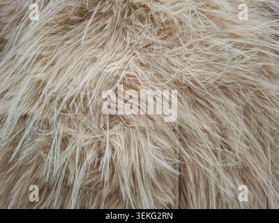 A close view of long pile faux fur. The soft texture and light beige color make it ideal for textile backgrounds in home decor or fashion. Stock Photo