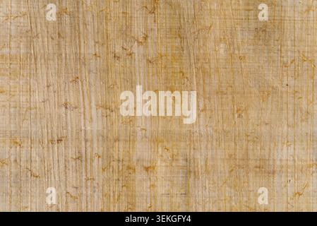 Traditional handmade papyrus paper texture with golden organic fibers Stock Photo