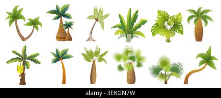 Set of tropical palm trees and lush exotic plants with varied leaves and trunks, arranged as decorative botanical icons isolated on white background vector illustration Stock Vector