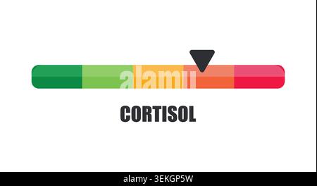 Horizontal Cortisol Indicator Bar Pointing to High Stress Risk Stock Vector