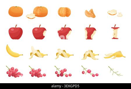 Collection of orange, apple, banana, and cherry stages showing whole fruit to leftovers and peels, isolated on white background vector illustration Stock Vector