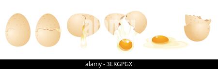 Realistic cracked egg sequence showing shell breaking, dripping white, exposed yolk, and empty shell stages isolated on white background vector illustration Stock Vector