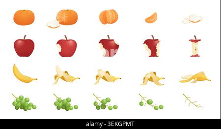 Realistic fruit consumption sequence showing orange, apple, banana, and grapes from whole to eaten remains, with peels, cores, and stems isolated on white background vector illustration Stock Vector