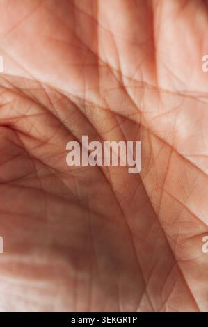 Extreme close-up of human palm lines and skin texture, abstract macro detail with shallow focus Stock Photo