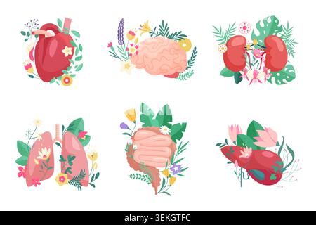 Collection of human organs decorated with flowers and leaves, featuring heart, brain, kidneys, lungs, intestines and liver in a flat medical design isolated on white background vector illustration Stock Vector