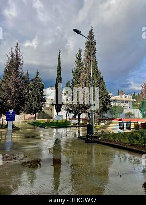 Wet pavement reflecting tall cypress trees and buildings under a dramatic cloudy sky after rain at a university campus in Tunis, Tunisia Stock Photo