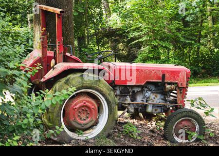 Abandoned red vintage tractor overgrown in woodland with rural farming heritage atmosphere Stock Photo