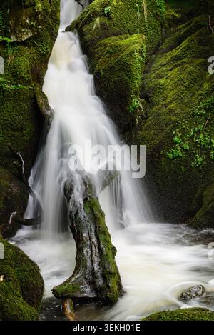 Long exposure close up shot of part of Stock Ghyll Force near Ambleside, Cumbria in England Stock Photo