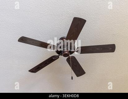 A dark wood ceiling fan mounted on a textured white ceiling, viewed from below in a residential interior. Stock Photo
