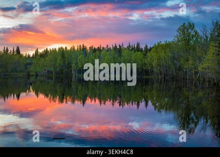 Colorful sunset sky reflecting on a serene lake surrounded by a forest of green trees Stock Photo