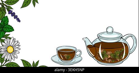 Herbal tea vector banner with chamomile, mint, and lavender Stock Vector