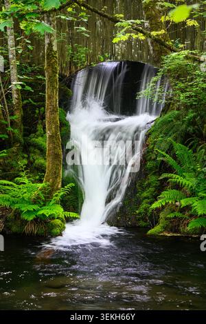Silky white water flows under stone bridge in waterfall in Pacific Northwest landscape Stock Photo