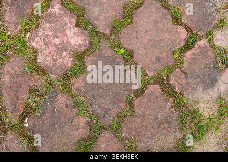 Old paving stones with green grass and moss growing in seams, top view Stock Photo
