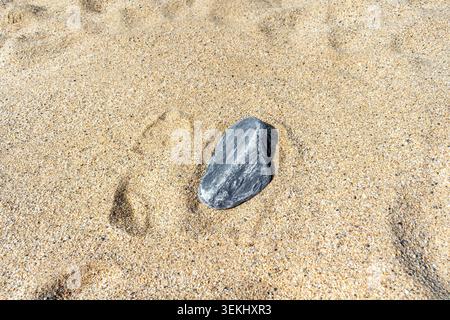 A single textured grey stone isolated on beach sand. A symbol of strength, individuality, and persistence. Minimalist natural background Stock Photo