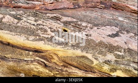 An Organic Texture Background with a Natural Stone Surface in Warm Earth Tones Stock Photo