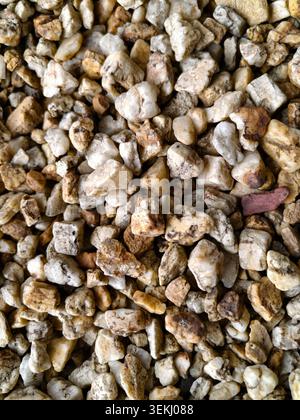 Close-up of small white and beige pebbles filling the frame Stock Photo
