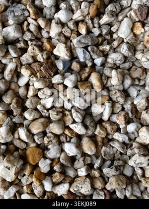 Close-up of small white and tan pebbles Stock Photo