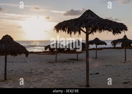 Beach palapas silhouetted against a tropical sunrise over the ocean, featuring thatched umbrellas, gentle waves, seaweed along the shoreline Stock Photo