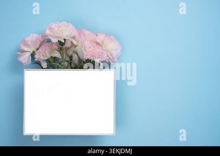 A bouquet of pink carnations arranged in a white box, set against a blue background, representing Mother's Day beauty and elegance Stock Photo