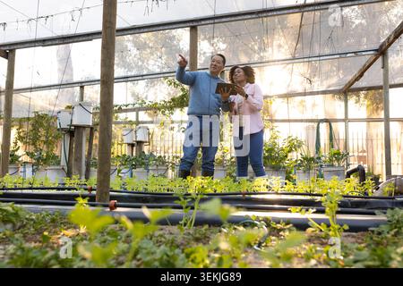 Diverse coworkers inspecting greenhouse plants using tablet near seedlings and drip lines. Glasshouse, horticulture, crops, irrigation, monitoring, co Stock Photo