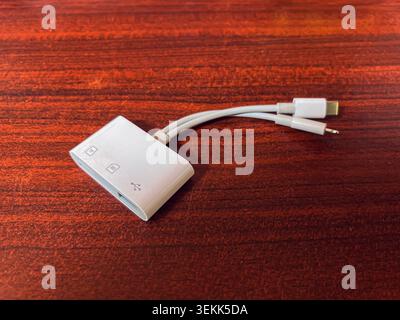 White USB Type-C and Lightning OTG adapter and SD Card reader with USB Type-A port. Isolated by wooden background. Technology concept Stock Photo