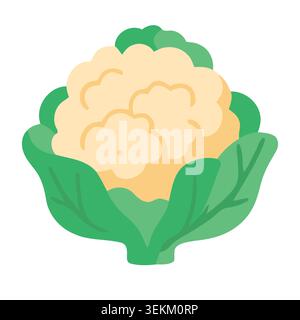 Vibrant flat vector illustration of a cauliflower with lush green leaves on a crisp white background. Ideal for food packaging, branding, and editoria Stock Vector