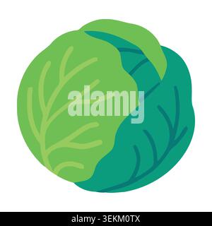 Vibrant green cabbage flat vector illustration with bold, modern design. Perfect for food packaging, branding, editorial use, and healthy food promoti Stock Vector