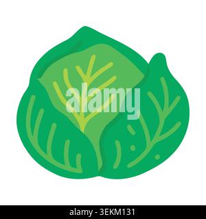 Flat vector illustration of a vibrant green cabbage with visible veins, perfect for food packaging, branding, and editorial use, featuring a simple bo Stock Vector