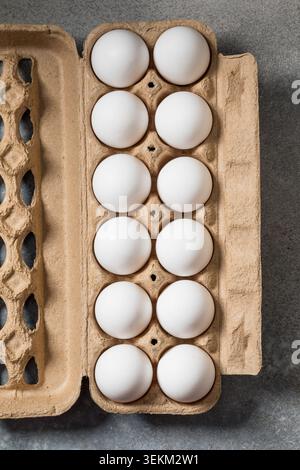 Organic Free Range White Chicken Eggs in a Carton Stock Photo