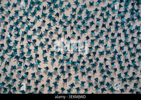 Contemporary wall installation made of many blue butterfly elements, photographed inside Museo Nacional Centro de Arte Reina Sofía, Madrid, Spain. Stock Photo
