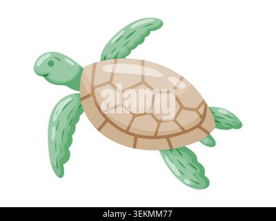 Illustration of a sea turtle with green head and flippers, brown patterned shell with geometric segments, swimming viewed from above, isolated on whit Stock Vector