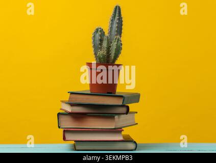 Stack of books with cactus on yellow background Stock Photo