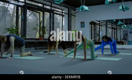 Group of athletic diverse people practicing yoga indoor pose in studio Stock Photo