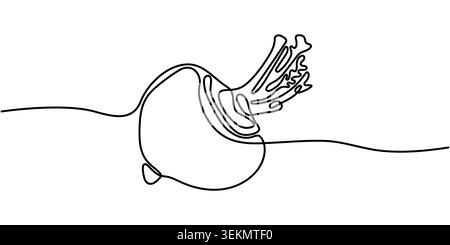 Minimalist Continuous Line Drawing of a Fresh Beetroot Vegetable Stock Vector