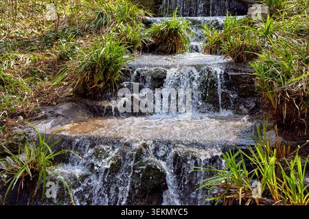 Beautiful small artificial multi-tiered stone waterfall cascade with streaming water and green plants in a garden public city park. Stock Photo