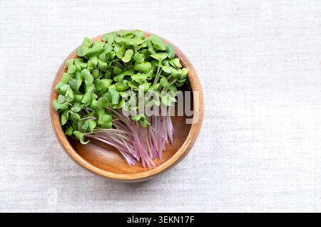 Red radish microgreens, fresh sprouts in a wooden bowl on linen. Young plants, seedlings, and cotyledons of Raphanus sativus, an edible root vegetable Stock Photo