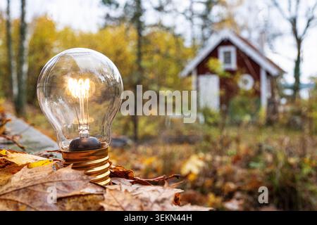 Glowing light bulb kept on maple leaves in back yard Stock Photo
