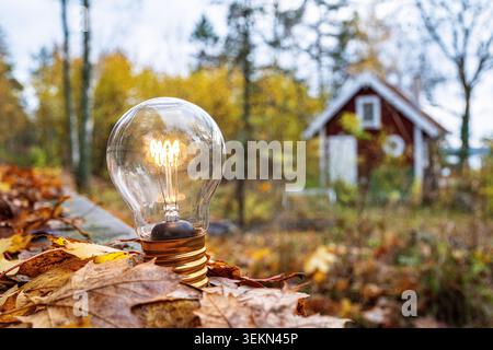 Glowing light bulb kept on maple leaves in back yard at autumn Stock Photo