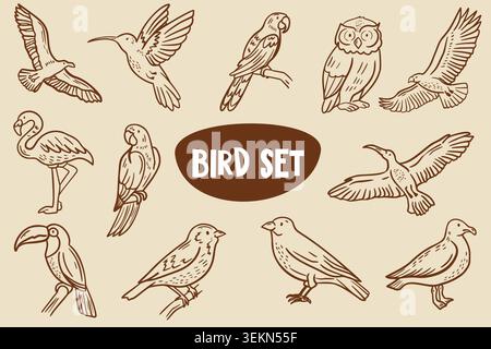 Collection of hand-drawn bird illustrations featuring various species including flamingo, parrot, owl, and hummingbird arranged in a circular layout Stock Vector