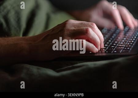 Hands of man using laptop at home Stock Photo