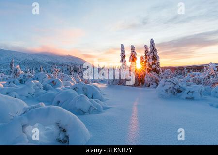Sun shining through trees covered in snow during winter under cloudy sky at sunrise Stock Photo