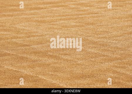 Wind patterns on golden sand surface creating textured background in natural environment Stock Photo